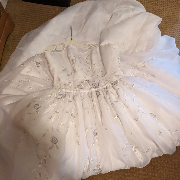 Michaelangelo wedding dress David's bridal t8322 - Picture 16 of 16